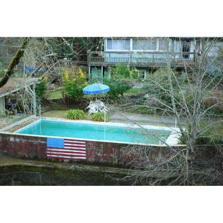 Outdoor swimming pool with a painted American flag design on the exterior, surrounded by trees and vegetation, with a house in the background.