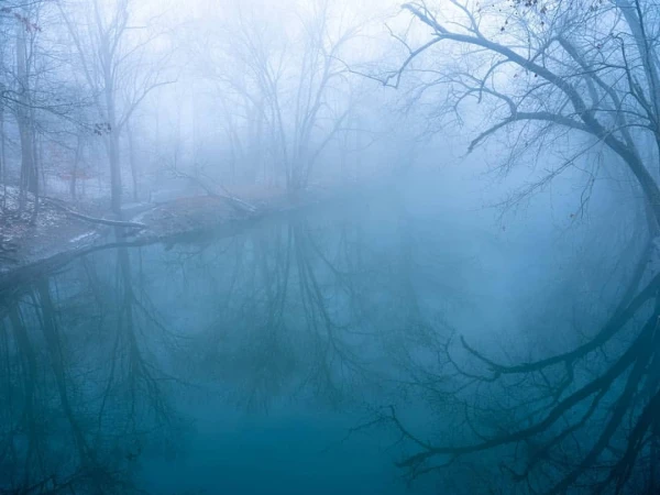 Mist-covered reflective pond with tree branches, capturing a serene and ethereal nature scene, creating a tranquil and dreamlike ambiance.