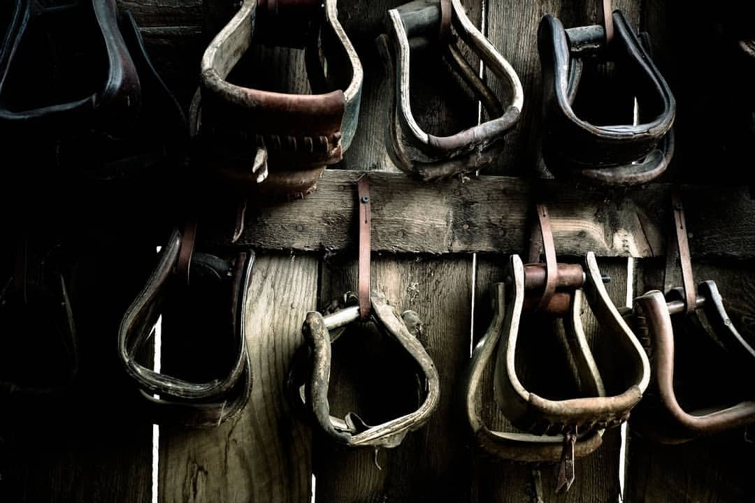Several vintage saddle stirrups hang on a weathered wooden wall, showcasing a rustic aesthetic and craftsmanship.