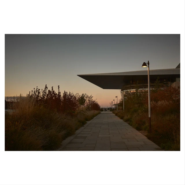 View of an outdoor walkway lined with tall grass and vegetation, leading to a modern building with an overhanging roof at dusk.