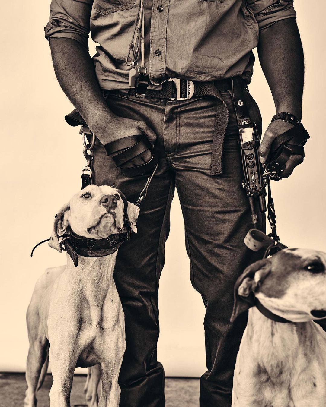 Sepia-toned image of a man standing with two dogs, wearing a button-down shirt, pants, and accessorized with belts and a tactical vest.