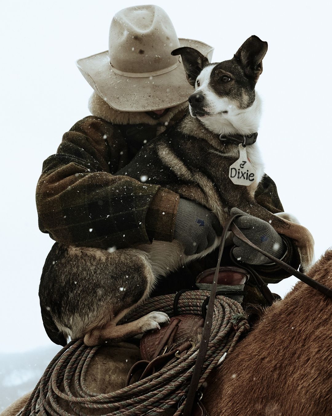 Cowboy on horseback holds dog named Dixie in falling snow, wearing a beige hat and dark jacket outdoors with a brown horse.