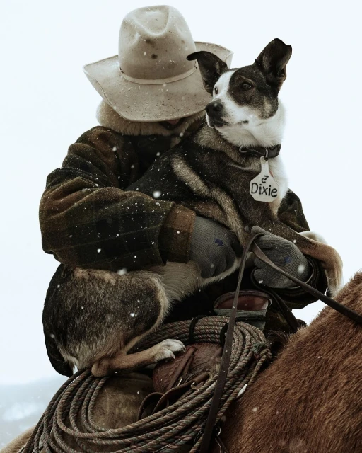 Cowboy on horseback holds dog named Dixie in falling snow, wearing a beige hat and dark jacket outdoors with a brown horse.