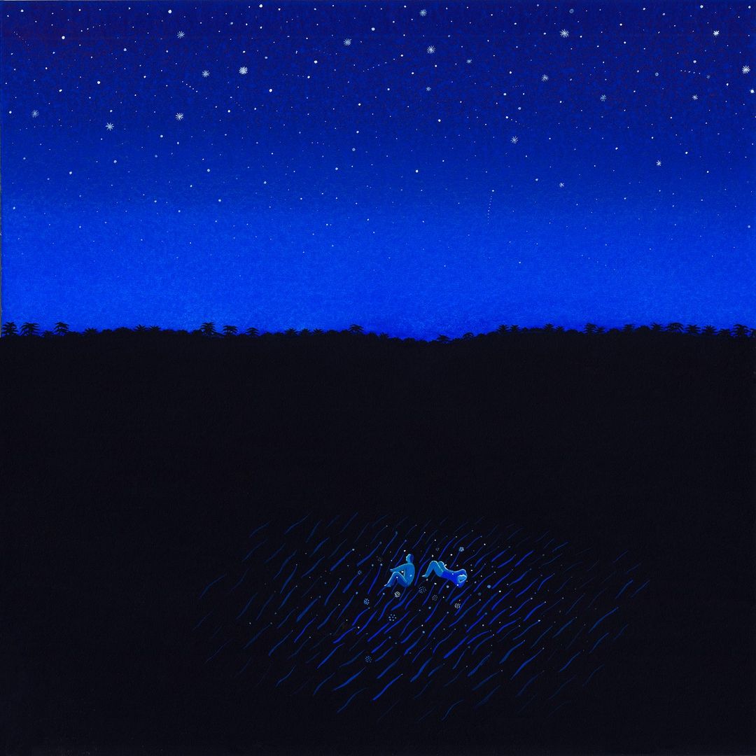 Digital painting of a couple lying on a blue field beneath a dark blue night sky filled with white stars, evoking tranquility.