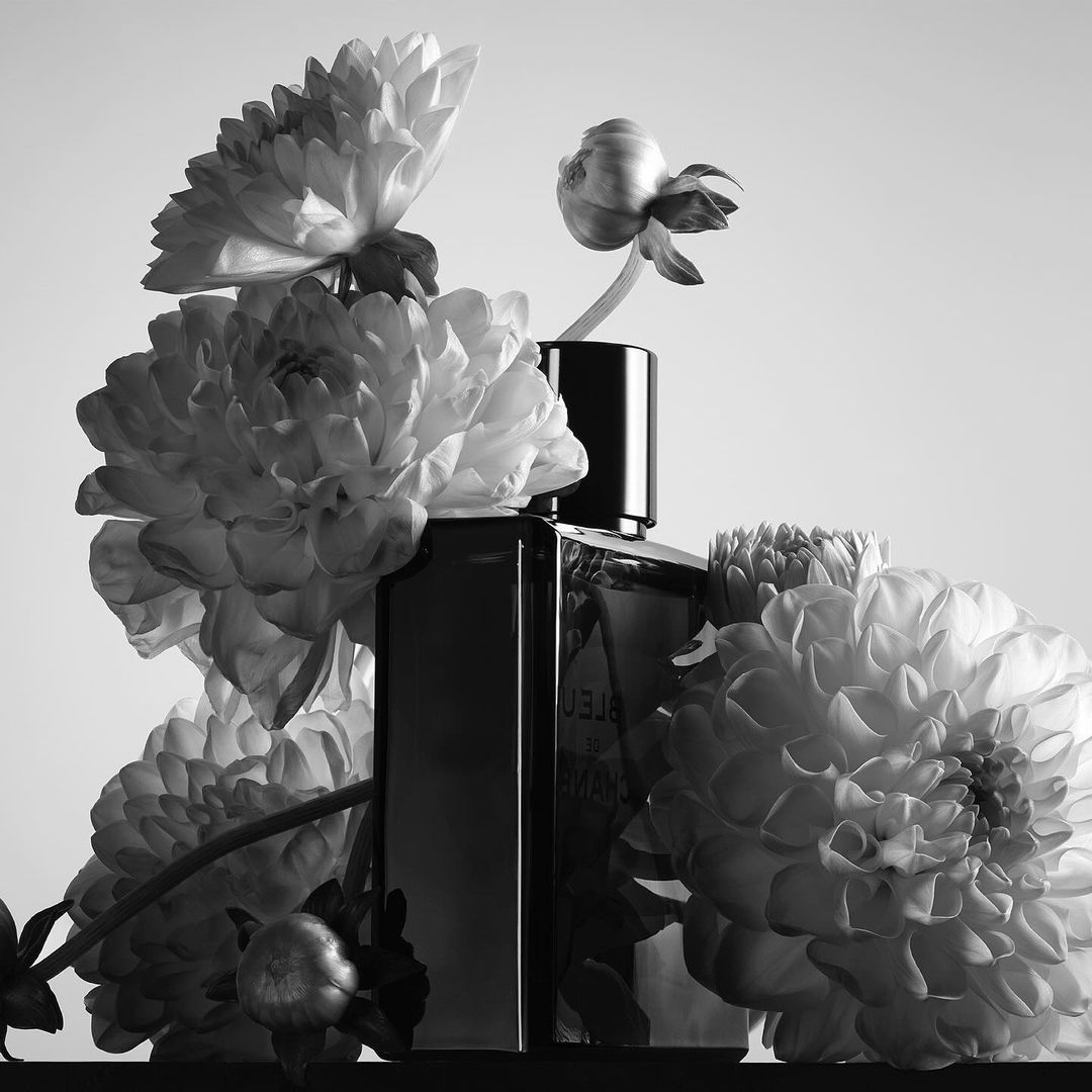 Still life of a perfume bottle surrounded by dahlia flowers in black and white, evoking elegance and floral fragrance.
