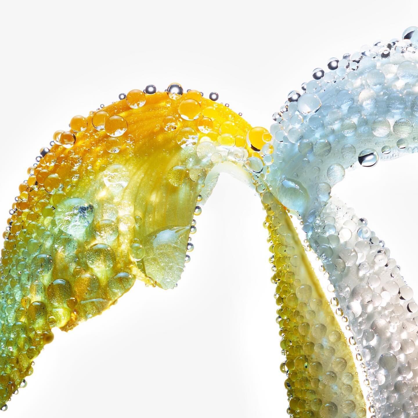 Close-up of two citrus fruit slices, possibly lemon, covered in water droplets. The yellow-green and translucent slices are visually striking.
