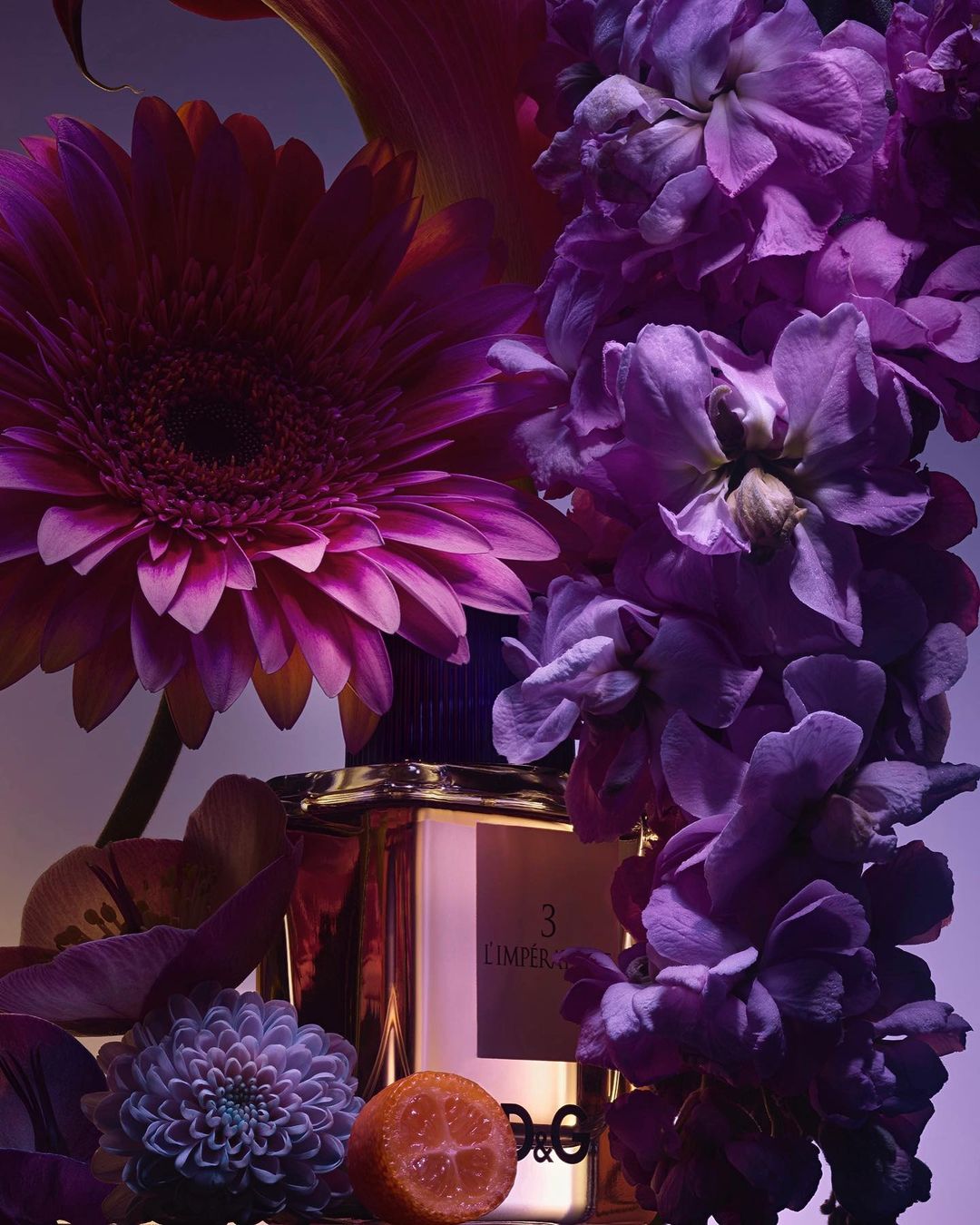 Product shot of Dolce & Gabbana L'Imperatrice perfume bottle surrounded by purple flowers and a sliced orange against a gradient background.