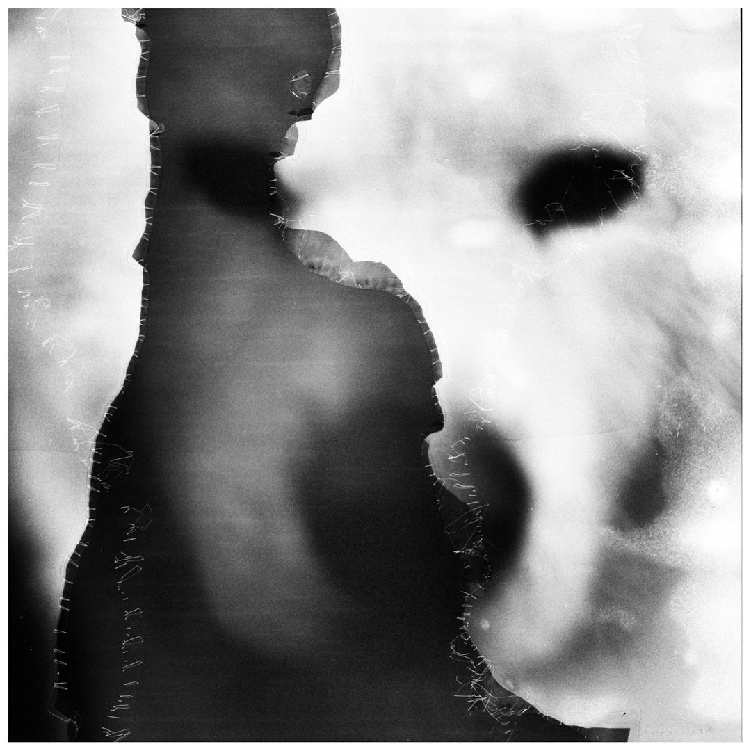 Abstract black and white image featuring a dark, textured shape contrasted against a brighter, ethereal backdrop with subtle details.