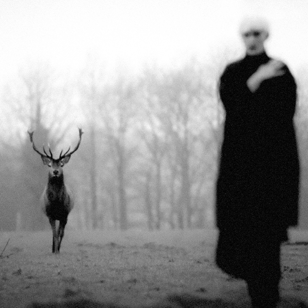 A deer stands in a misty field near a forest, while a blurry person in dark clothing is walking by in this artistic black and white image.