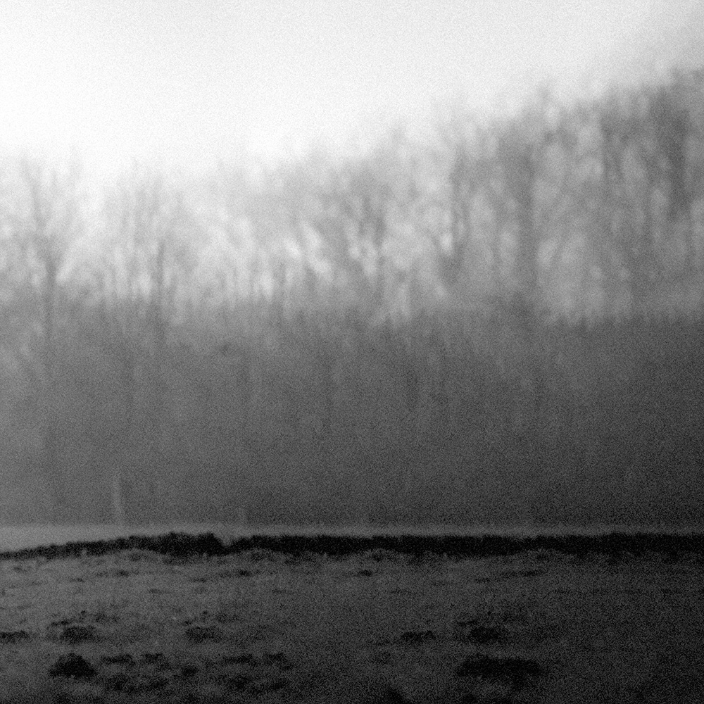 Monochrome image of a field and trees shrouded in mist, creating a serene and slightly eerie landscape scene.