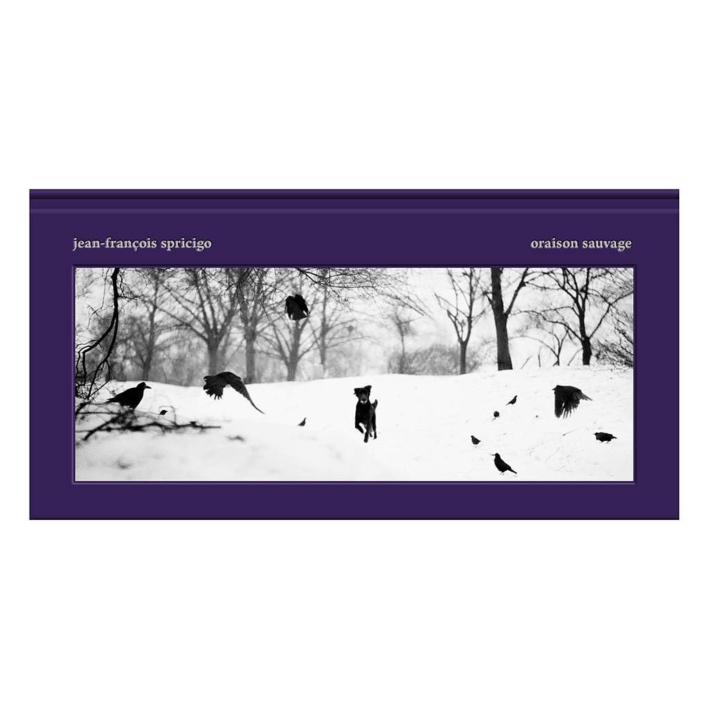 Monochromatic art photo of a dog and numerous birds scattered across a snowy landscape with bare trees, framed in purple.