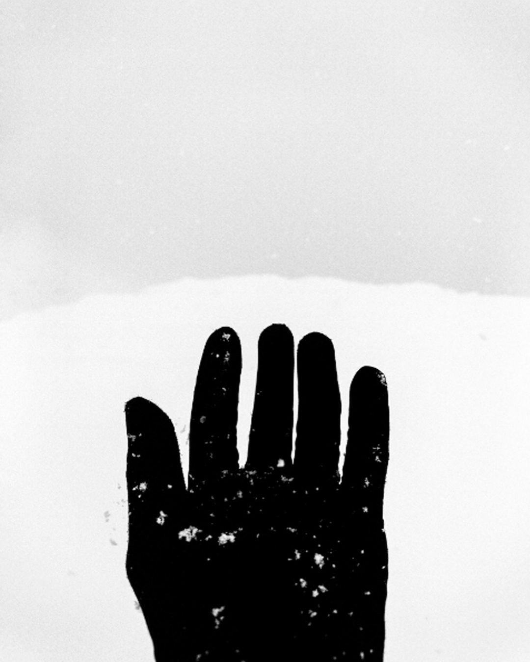 Monochromatic high-contrast photo of a hand silhouetted against a bright white and lightly textured background with subtle shadows.