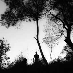 Monochrome silhouette of a person standing beneath large tree branches against a bright sky.