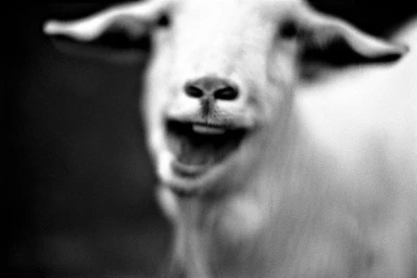 Close-up black and white portrait of a goat with an open mouth, shot with heavy film grain and soft focus.
