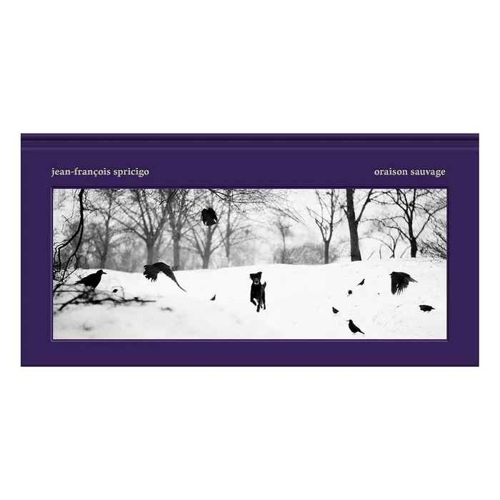 Black and white photograph of crows and a dog in a snowy winter landscape framed within a purple border.