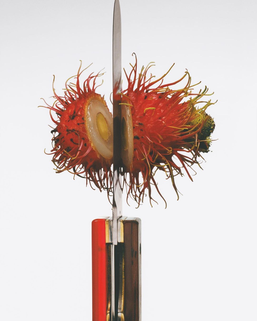 Macro studio shot of a vibrant, sliced rambutan fruit impaled by a metal pocketknife against a plain white backdrop.