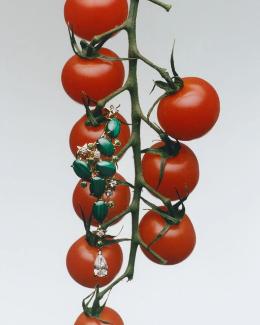 Close-up of a vine of red tomatoes with an ornate jeweled earring featuring green stones and diamonds, set against a white backdrop.