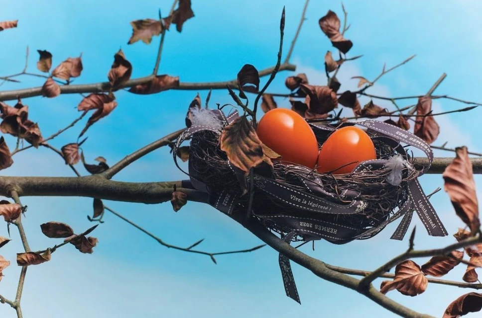 Two orange eggs in a nest made of twigs and ribbon, resting on a branch with brown leaves against a blue sky background.