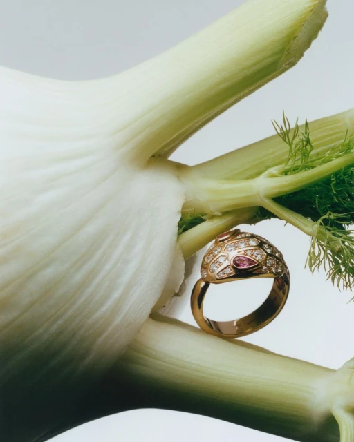 Close-up of a gold ring adorned with pink and white gemstones, resting on a white bulb of fennel with sprouting green fronds.