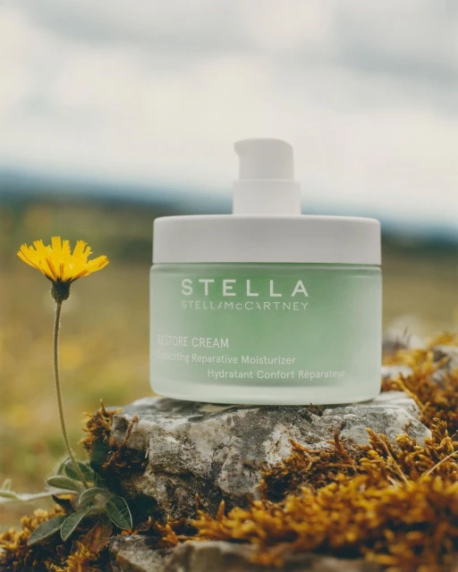 A jar of Stella McCartney Restore Cream rests on a rock beside a dandelion against a blurred natural green and blue background.
