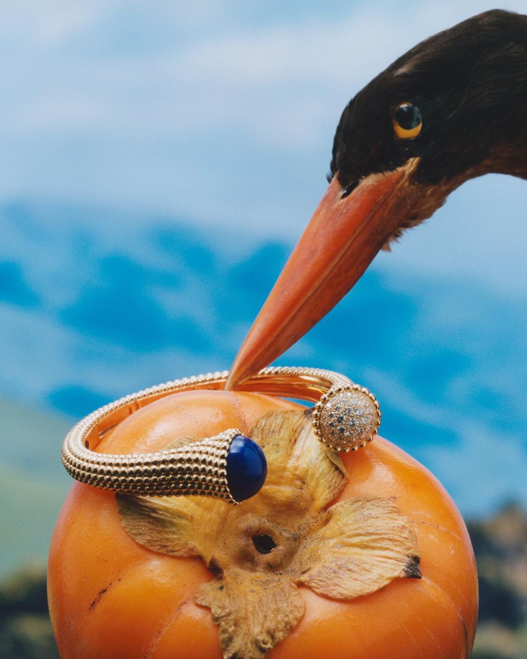 Close-up of a gold bangle with a blue cabochon and pavé diamonds, resting on a persimmon with a bird's head in the background.