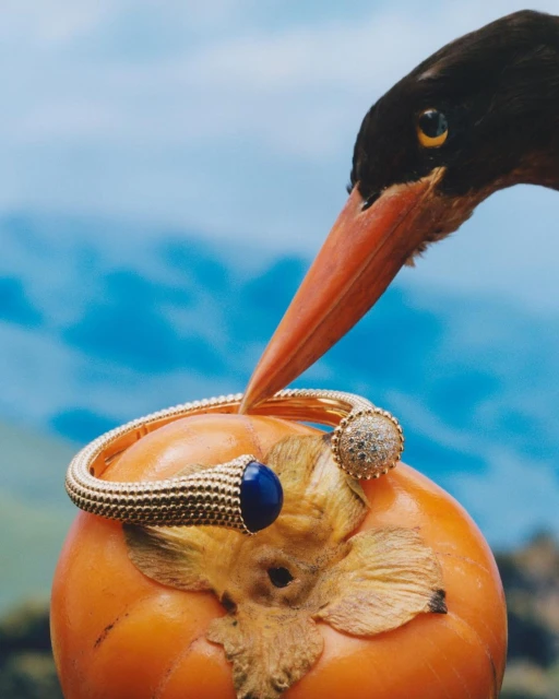 Close-up of a gold bangle with a blue cabochon and pavé diamonds, resting on a persimmon with a bird's head in the background.