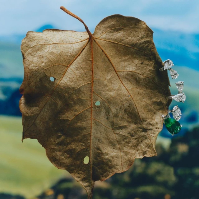 Close-up studio shot of a textured brown leaf adorned with a set of pear-cut gemstone earrings set against a blurred, vibrant landscape backdrop.