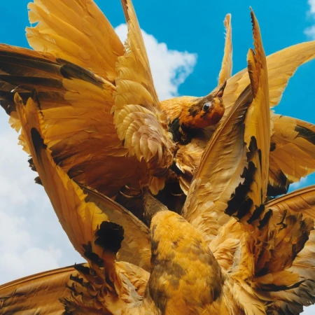 Striking low-angle shot of several yellow and brown birds in flight against a bright blue sky with scattered white clouds on a sunny day.