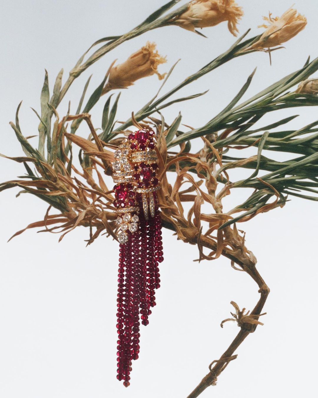 Elegant jewelry featuring rubies and diamonds nestled within dried floral elements, set against a bright background.
