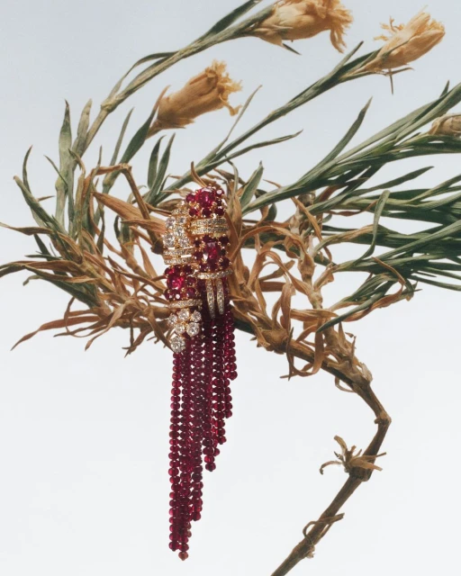 Elegant jewelry featuring rubies and diamonds nestled within dried floral elements, set against a bright background.