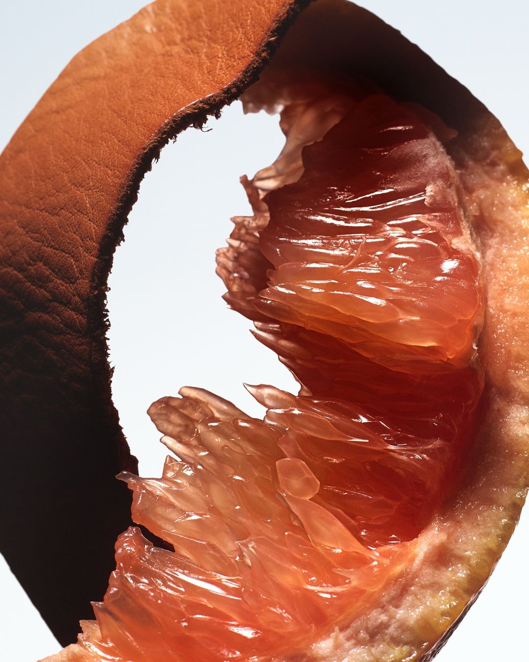 Close-up of a half grapefruit with skin, showing the juicy pink pulp and texture, against a white background. Food photography.