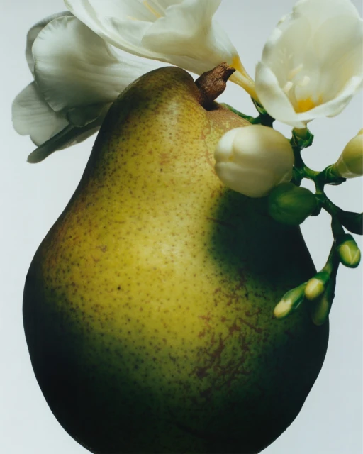 Close-up studio shot of a green pear with water droplets, complemented by delicate white flowers, against a soft, gradient gray backdrop.