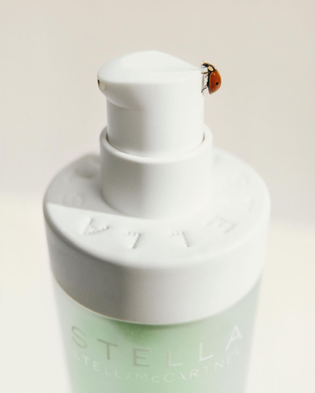 Close-up of a white pump bottle with a ladybug perched on top, softly lit against a neutral background, emphasizing the bottle's clean design.