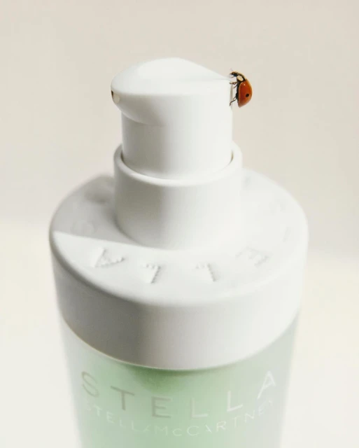Close-up of a white pump bottle with a ladybug perched on top, softly lit against a neutral background, emphasizing the bottle's clean design.
