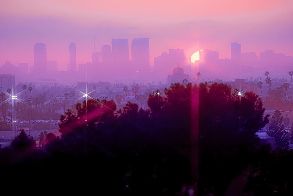 Cityscape at dawn with silhouettes of buildings in a hazy purple sky, trees in foreground creating depth.