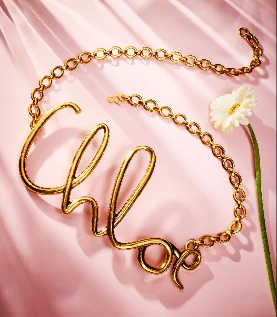 Gold Chloe script chain necklace with white daisy against a light pink background in a studio product shot for fashion and retail.
