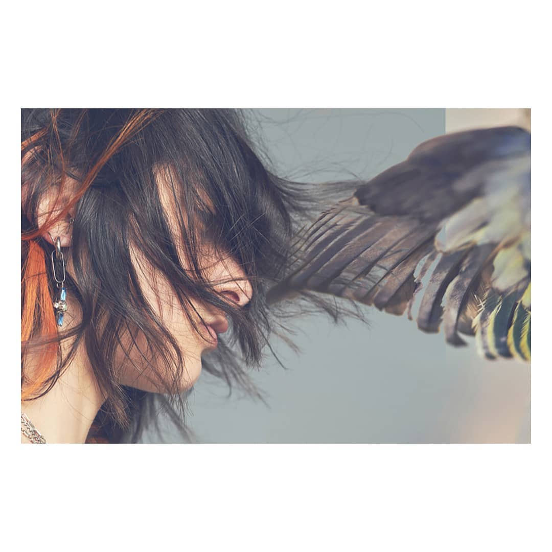 Artistic composition featuring a woman's profile with black hair, jewelry, and the wing of a bird, creating a unique and surreal portrait.