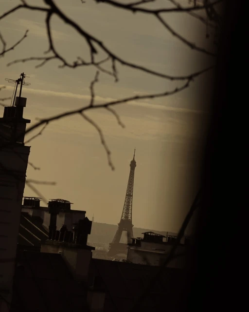 The Eiffel Tower rises over the Paris skyline, viewed through silhouetted branches and rooftops in an atmospheric, low-angle perspective.
