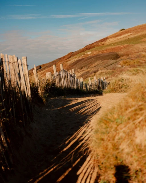 Sandy footpath along a wooden fence leading up a grassy hillside under a blue sky, nature, landscape, coastal, outdoors.