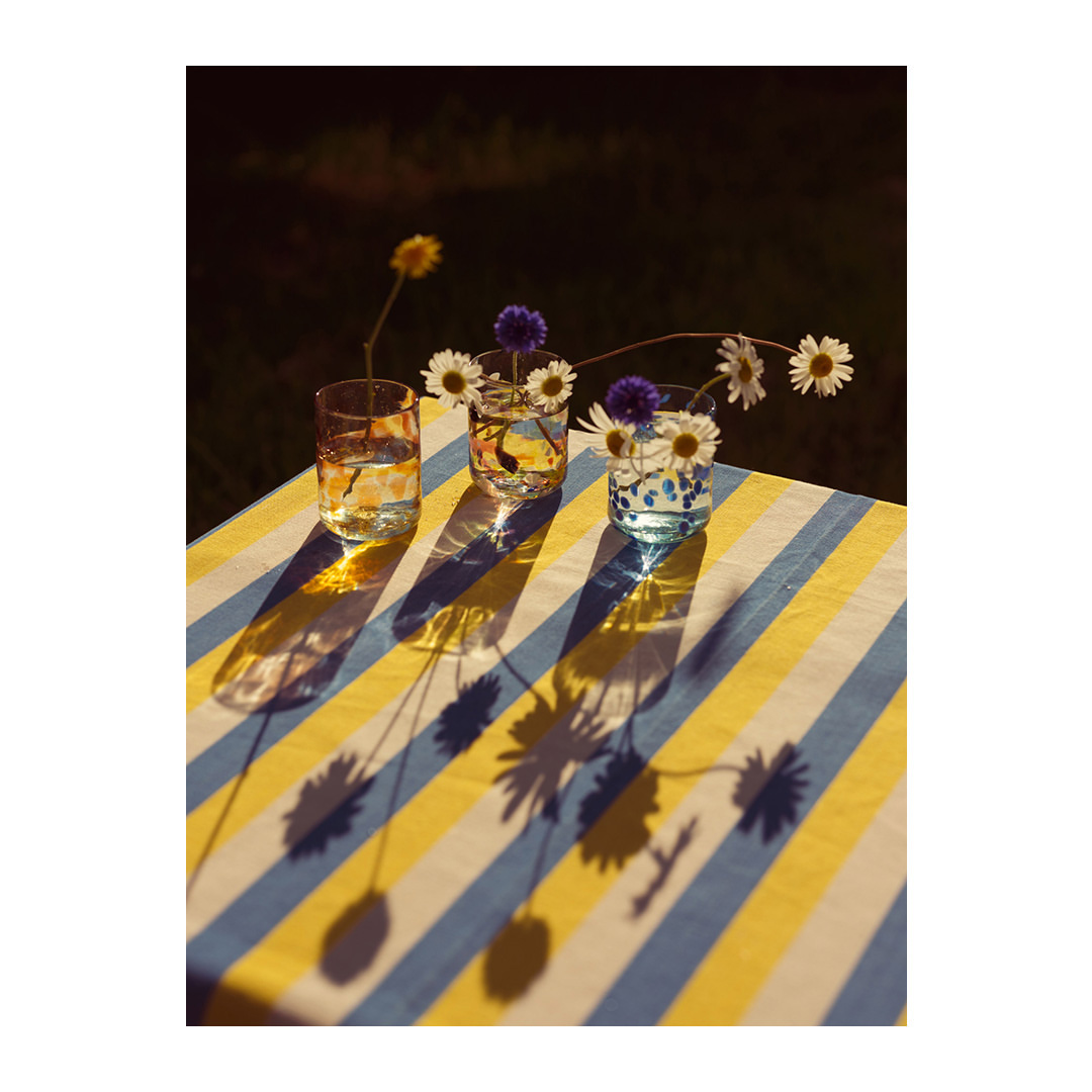 Three glass vases hold daisies and other flowers on a striped yellow and blue tablecloth, casting long shadows in a natural outdoor setting.