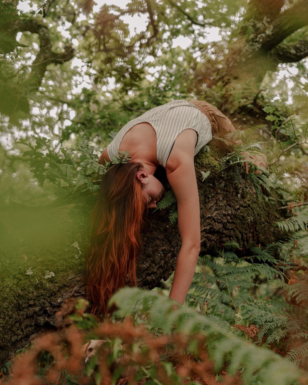 A woman with red hair rests in a tree surrounded by green leaves and branches in a serene outdoor setting, captured in a medium shot.
