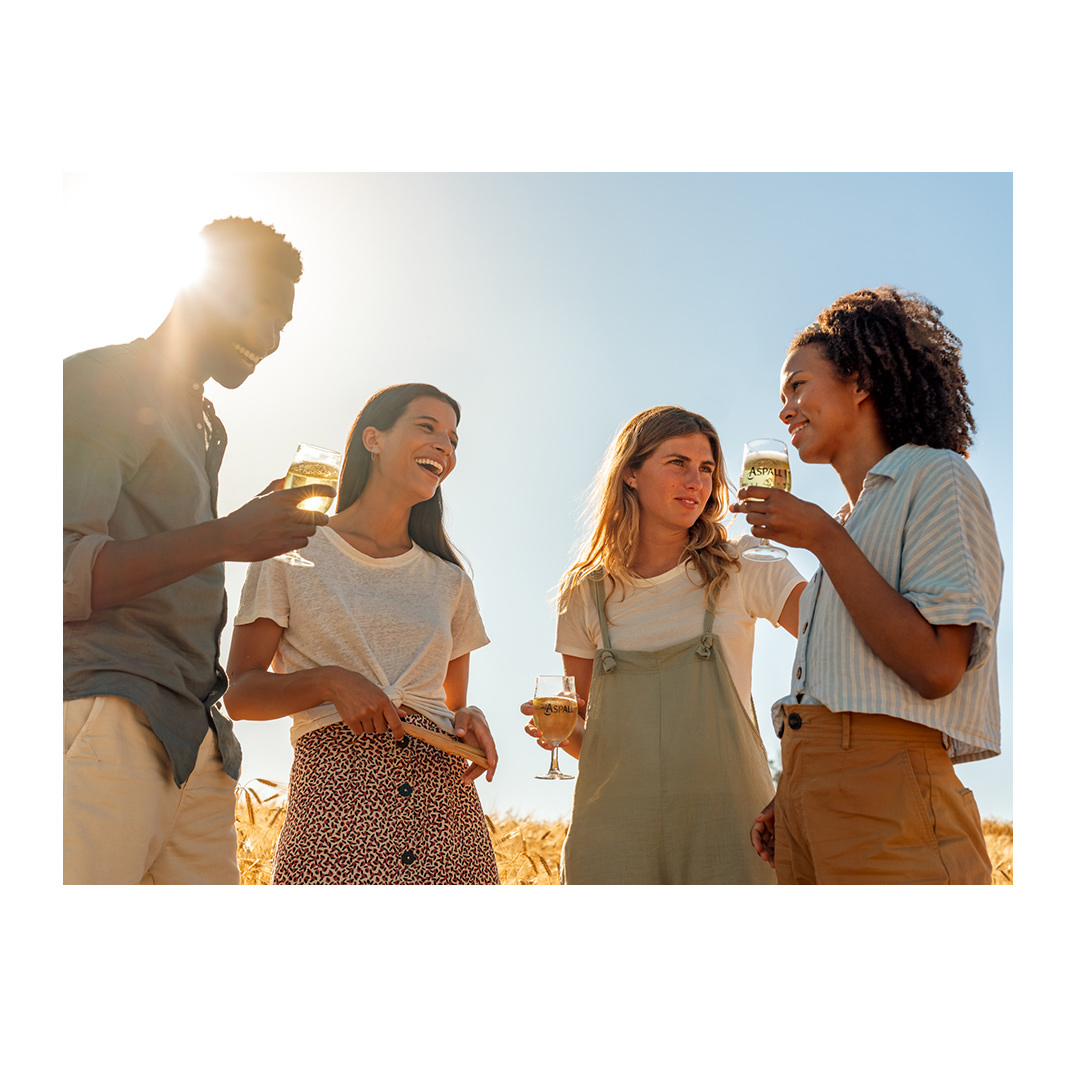 Group of four friends outdoors in a field toasting with wine glasses. Two women in dresses and two in casual shirts.