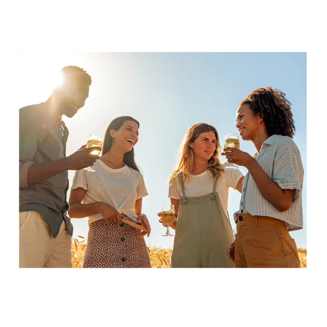 Group of four friends outdoors in a field toasting with wine glasses. Two women in dresses and two in casual shirts.