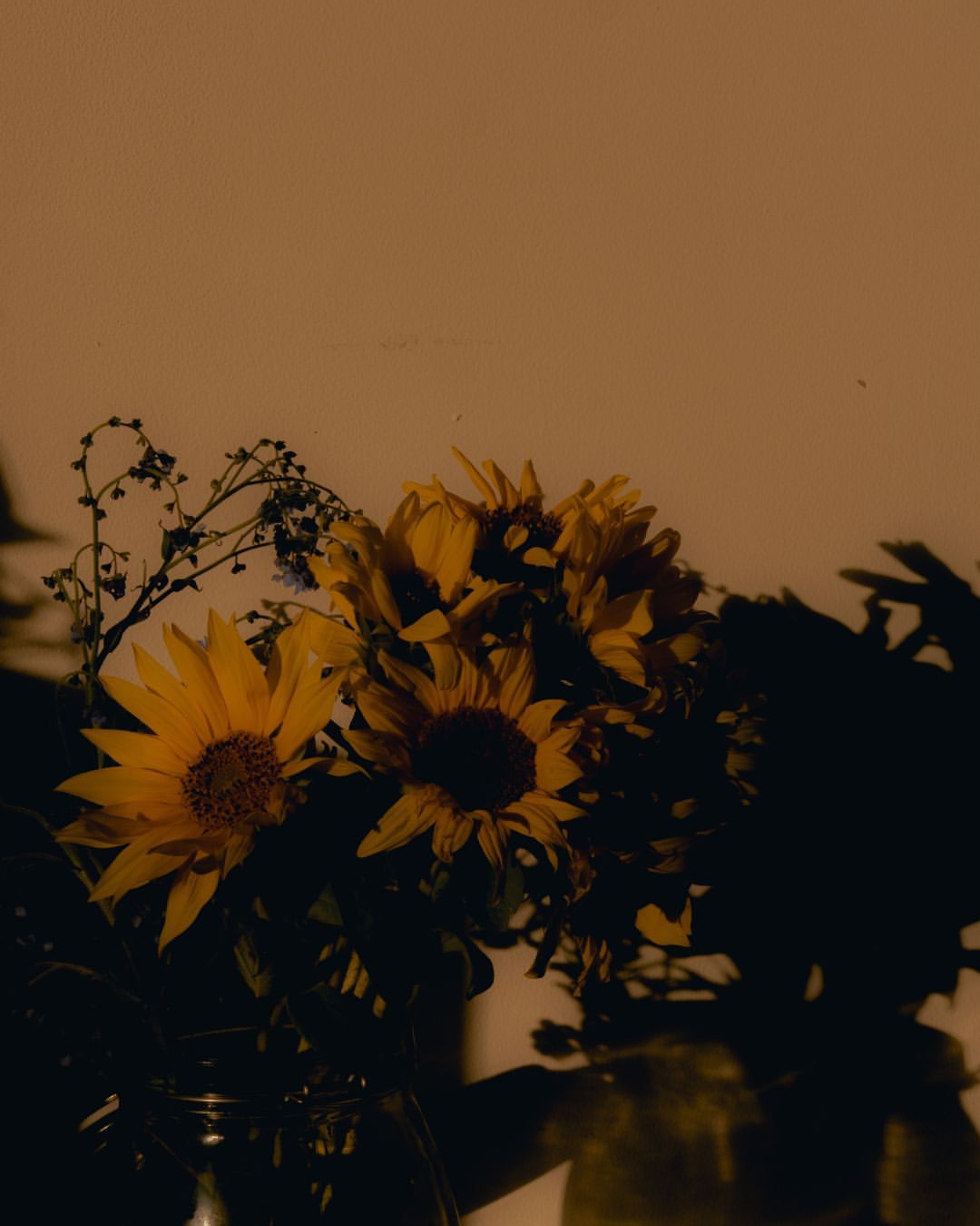 Warm-toned still life photograph of yellow sunflowers and small blue flowers in a glass vase against a neutral backdrop, casting soft shadows.