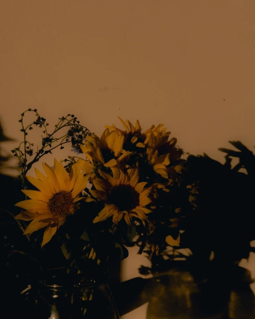 Warm-toned still life photograph of yellow sunflowers and small blue flowers in a glass vase against a neutral backdrop, casting soft shadows.