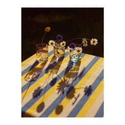Three glass tumblers filled with water and wildflowers on a yellow and white striped tablecloth outdoors.