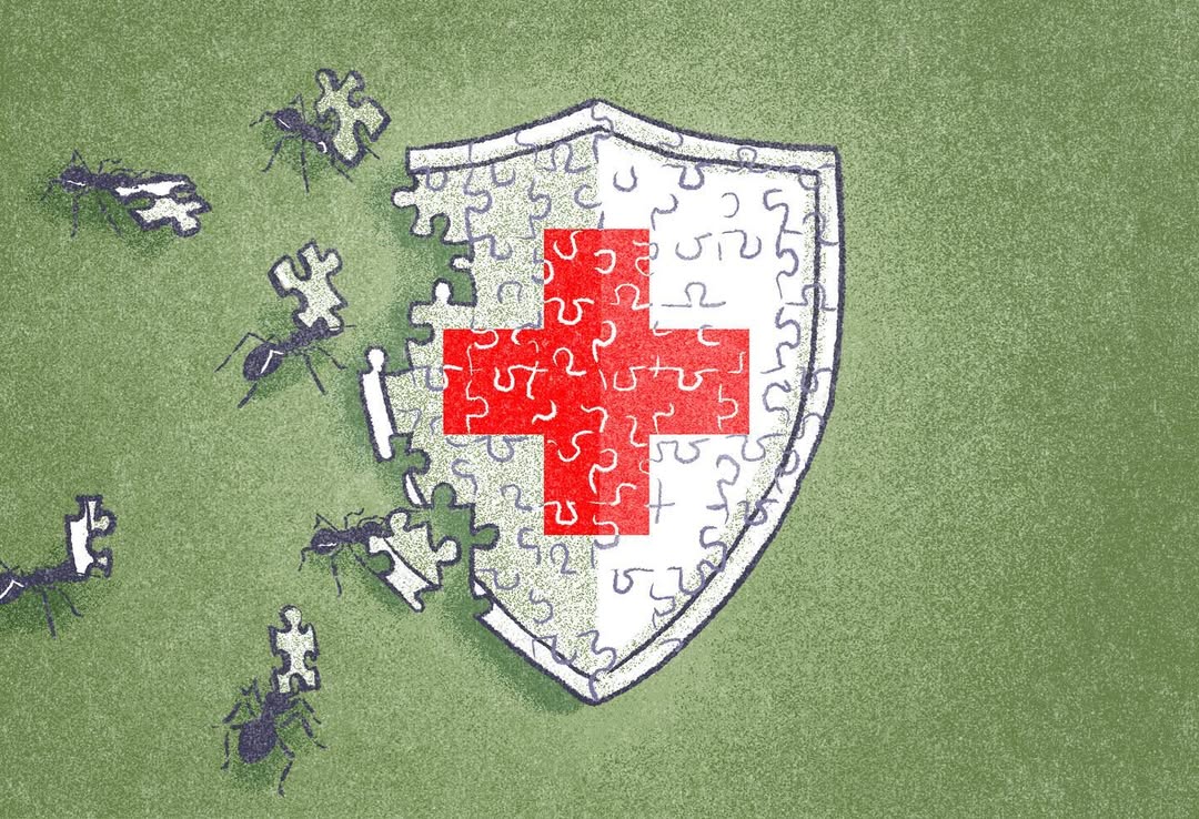 Illustration of ants carrying puzzle pieces to complete a shield with a red cross on a green background, symbolizing health.