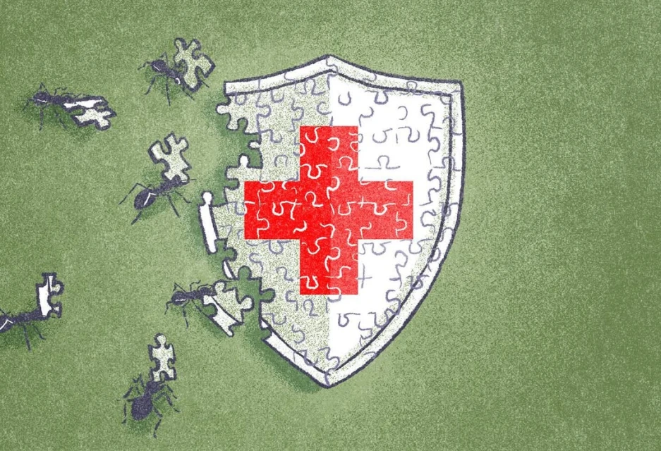 Jérôme Meyer-bisch