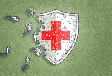 Illustration of small ants carrying puzzle pieces around a large shield with a red cross against a green textured background.