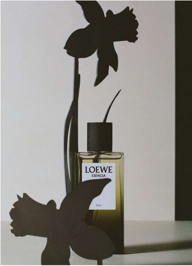 Loewe Esencia perfume bottle, featuring a transparent glass container with a black cap, standing against a neutral-toned background.